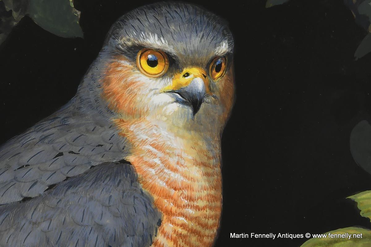 005 Julian Friers - Falcon - Oil on Board - Image 5