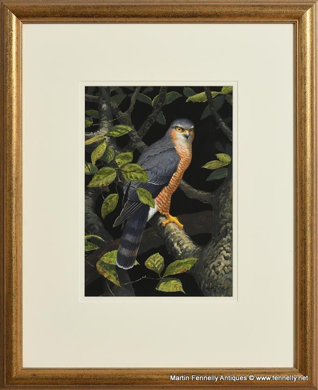 005 Julian Friers - Falcon - Oil on Board - Image 2