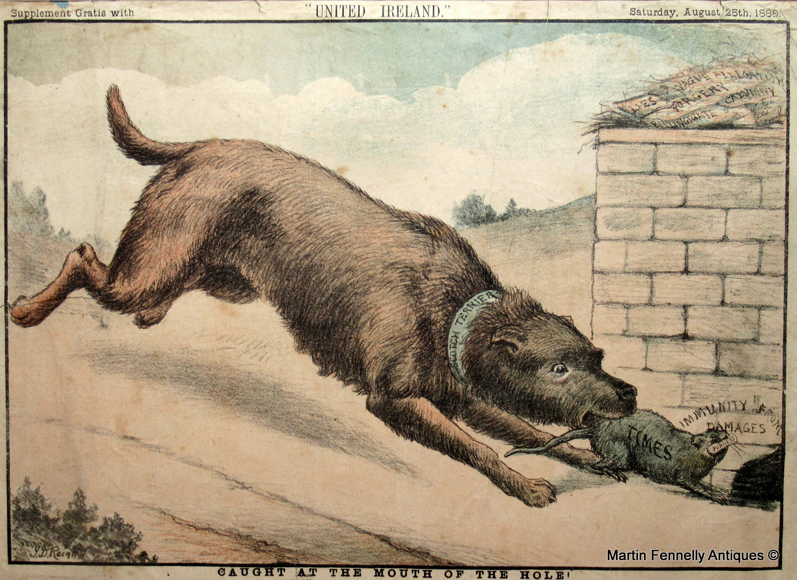 151a Rare Set of old United Ireland Magazine Satirical Cartoons all Late Victorian and original - Image 5