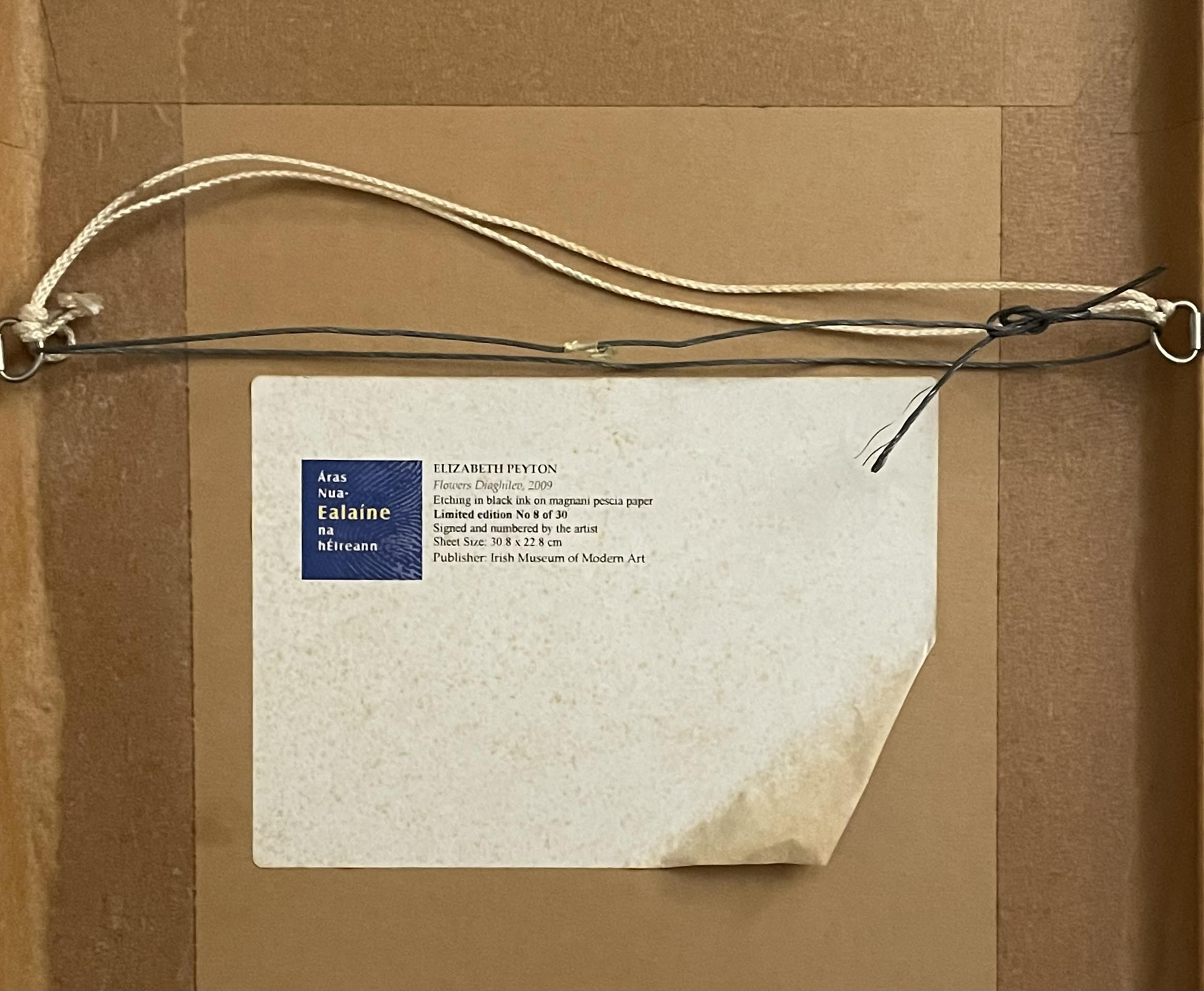 075 Sold Very Rare Elizabeth Peyton Limited Edition Print - Flowers Diaghilev - Image 5