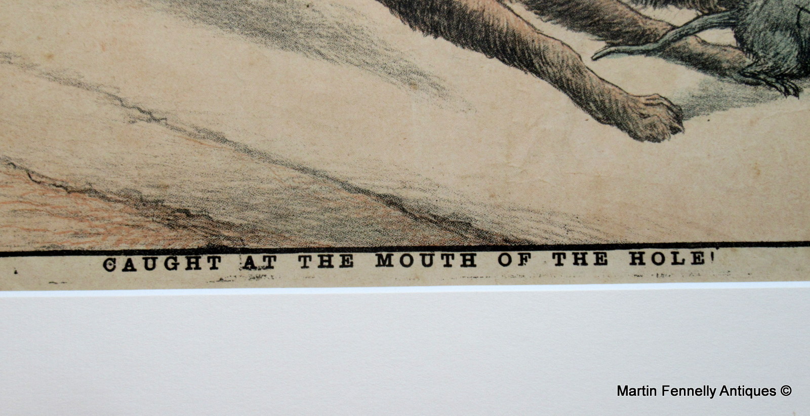 151a Rare Set of old United Ireland Magazine Satirical Cartoons all Late Victorian and original - Image 6