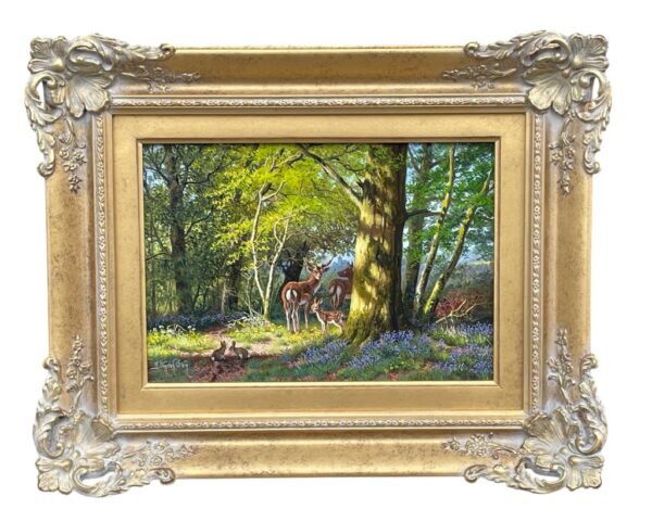 447 Daniel Van der Putten Reenadinna Woods Killarney National Park Co. Kerry Ireland