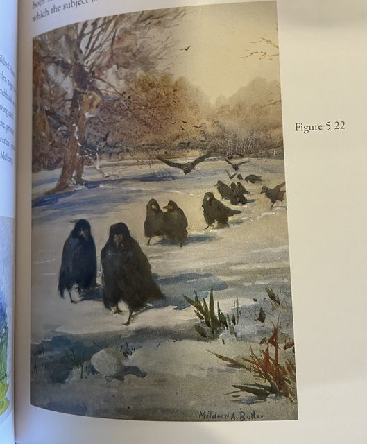 M005 Hard Cover 1st Edition - Lady of The Peacocks - Signed by Author - Image 4