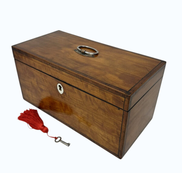 019 Antique English Satinwood Wooden Georgian Regency Double Tea Caddy 19th Century