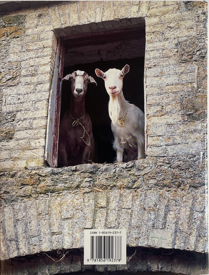 M094 The Irish Country House - A Social History - Peter Somerville-Large - Image 2