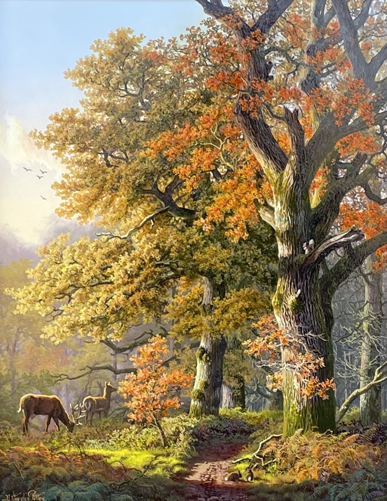 087 Daniel Van der Putten - Deer in Reenadinna Woods Killarney National Park Co. Kerry Ireland - Image 3