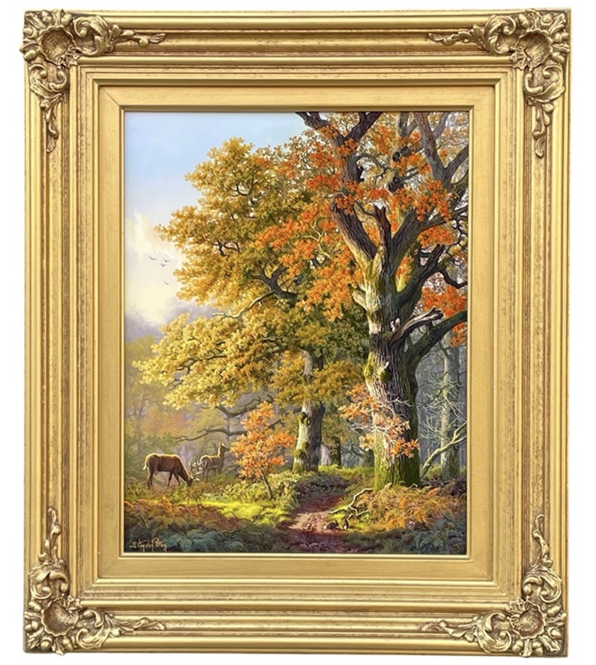 087 Daniel Van der Putten - Deer in Reenadinna Woods Killarney National Park Co. Kerry Ireland