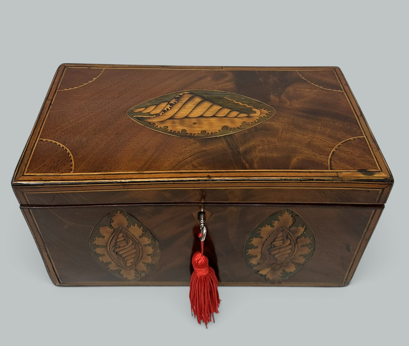 385 Antique Georgian Mahogany Satinwood Inlaid Jewelry Cigar Conch Shell Casket Box - Image 4