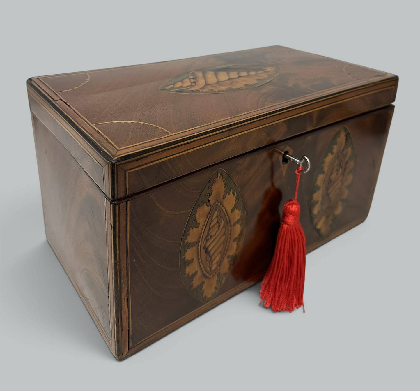 385 Antique Georgian Mahogany Satinwood Inlaid Jewelry Cigar Conch Shell Casket Box - Image 5
