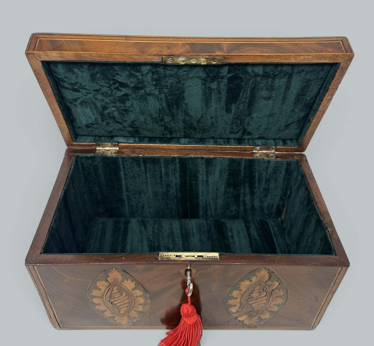 385 Antique Georgian Mahogany Satinwood Inlaid Jewelry Cigar Conch Shell Casket Box - Image 8